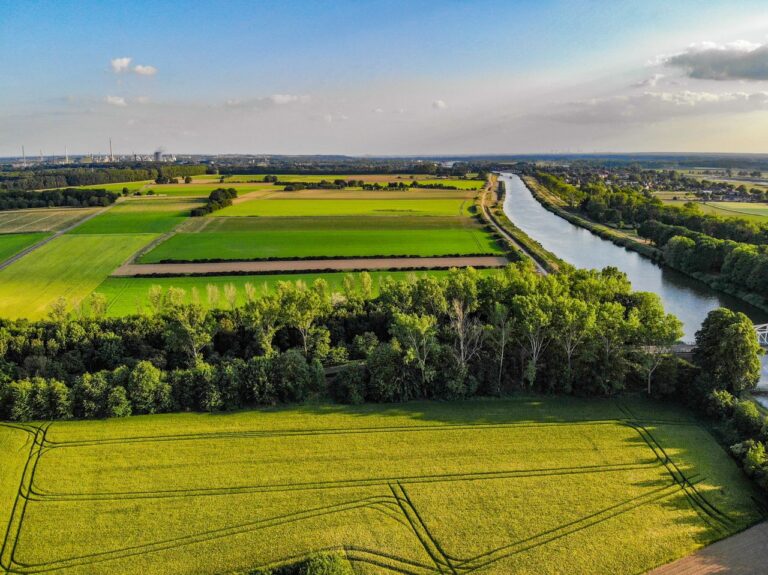 Aerial view of green farmland and river under a clear blue sky, showcasing vibrant agricultural landscapes.